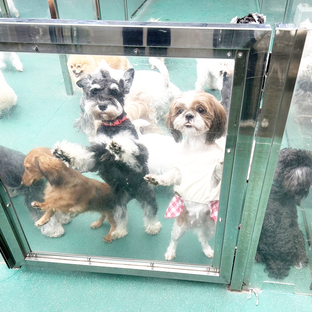 生徒が撮影した写真を送ってくれました！②